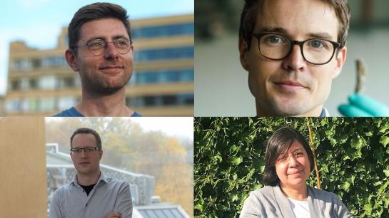 ERC grants