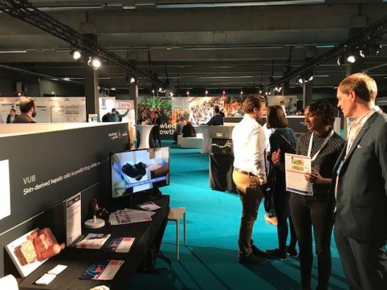 kfg2019
