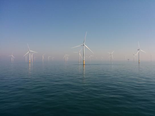 Wind mills 