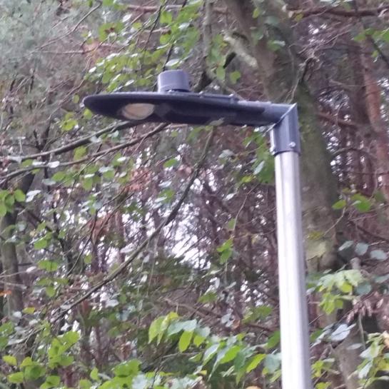 LumencySmartLighting for green areas