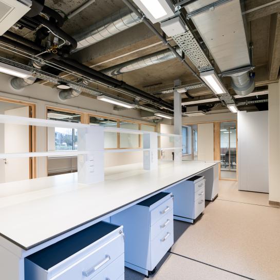 BIB lab