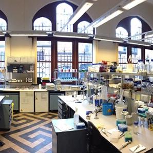 Lab Gulliver Biomed