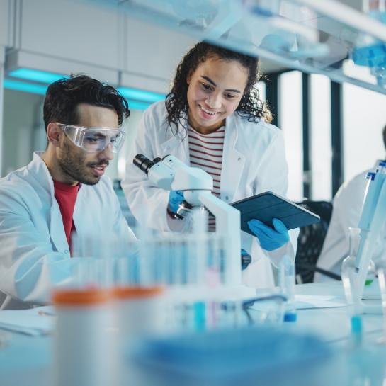 Researchers
